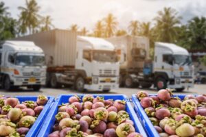 The Ultimate Guide to Efficient Food Distribution for Businesses